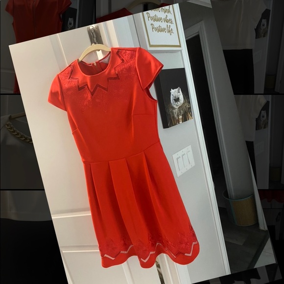 Ted Baker Dresses & Skirts - Gorgeous Ted Baker dress 👗 size 3 (8)